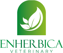 Enhrebica